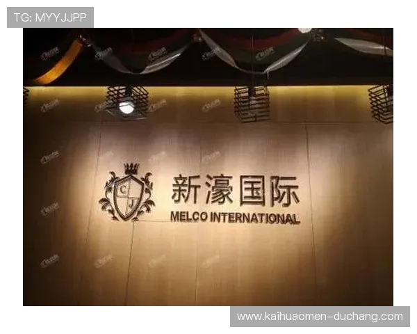 新濠国际集团投资项目成功案例分享，展现其强大的资金运营能力